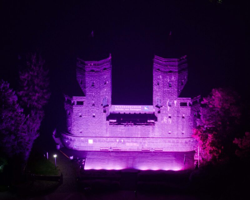 Ein historisches Steinschloss wird nachts mit kräftigem violettem Licht beleuchtet, das die Zwillingstürme und den gewölbten Eingang hervorhebt. Die umliegenden Bäume und der Boden davor sind in ein sanftes violettes Licht getaucht, das eine dramatische, farbenfrohe Szene schafft.
