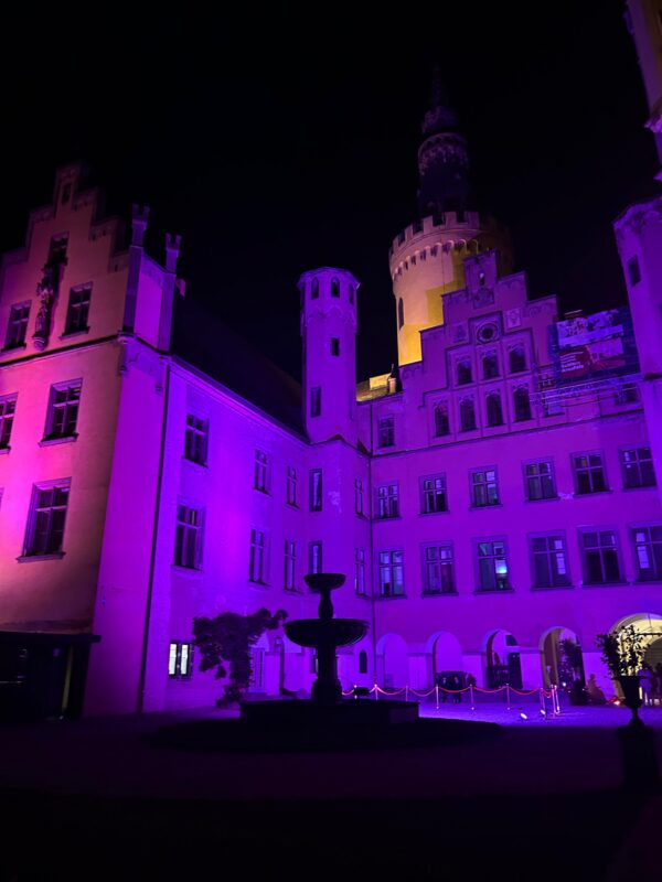 Eine nächtliche Szene eines großen historischen Gebäudes, das mit violettem Licht beleuchtet wird. Die Architektur zeichnet sich durch hohe Fenster, verschnörkelte Türme und steile Giebel aus. Im Vordergrund ist ein Brunnen zu sehen, umgeben von einem dunklen Innenhof unter dem Nachthimmel.