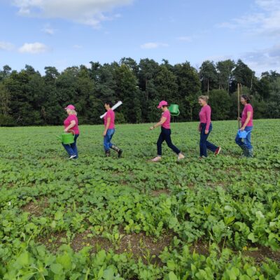 Fünf Personen in rosafarbenen Hemden und Hüten gehen in einer Reihe durch ein grünes Feld und tragen Eimer und Werkzeuge. Der Himmel ist teilweise bewölkt, und im Hintergrund erstreckt sich ein Waldgebiet. Die Szene suggeriert Teamarbeit und landwirtschaftliche Aktivität.