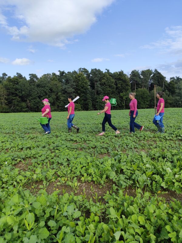 Fünf Personen in rosafarbenen Hemden und Hüten gehen in einer Reihe durch ein grünes Feld und tragen Eimer und Werkzeuge. Der Himmel ist teilweise bewölkt, und im Hintergrund erstreckt sich ein Waldgebiet. Die Szene suggeriert Teamarbeit und landwirtschaftliche Aktivität.