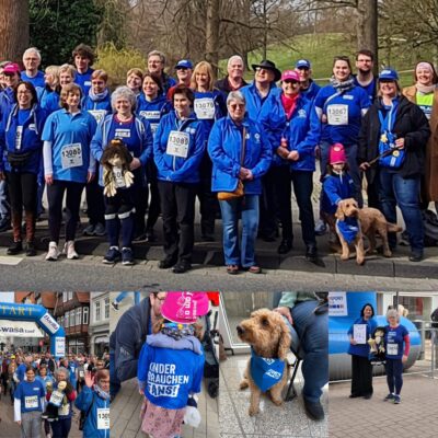 Eine Collage: Oben: Eine Gruppe von Menschen in blauen Jacken und Startnummern posiert draußen mit zwei Hunden. Unten links - Läufer an der Startlinie eines Rennens. Unten Mitte - ein Kind mit einem Schild auf dem Rücken und Menschen in der Nähe. Unten rechts - ein Hund mit einem blauen Schal und zwei Frauen, die sich unterhalten.