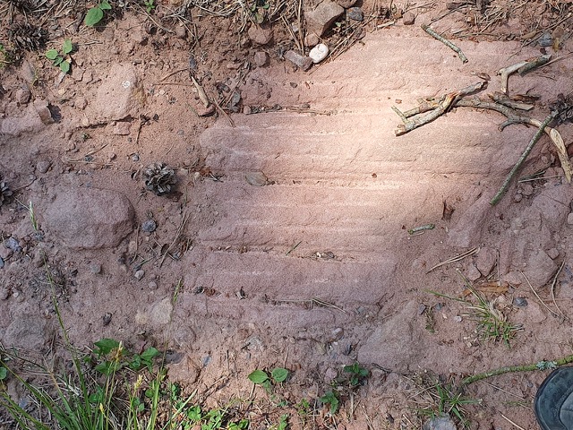 Ein Stück rotbrauner Erde mit horizontalen, geradlinigen Rillen, verstreute Zweige, kleine Steine, ein Tannenzapfen und grüne Pflanzen am Rand; die Szene liegt teils im Schatten, teils im Sonnenlicht. In der oberen rechten Ecke ist die Spitze eines Schuhs zu sehen.