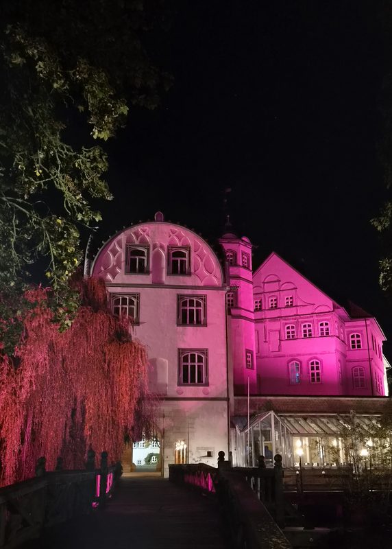 Ein altes Steingebäude wird nachts von leuchtend rosa Scheinwerfern dramatisch in Szene gesetzt. Auch eine Weide auf der linken Seite ist in rosa Licht getaucht und steht in der Nähe einer Holzbrücke, die zu einem gewölbten Steintor führt.